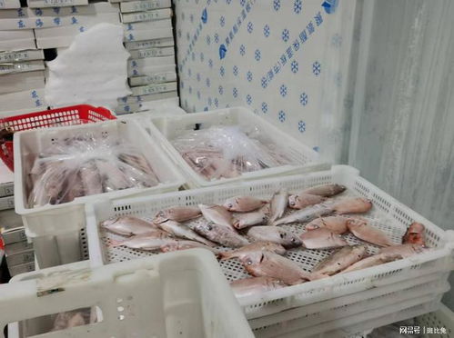 捕撈養(yǎng)殖輸送原料資源,電商批發(fā)打通銷售脈絡